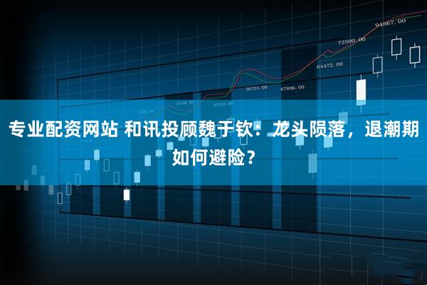 专业配资网站 和讯投顾魏于钦：龙头陨落，退潮期如何避险？