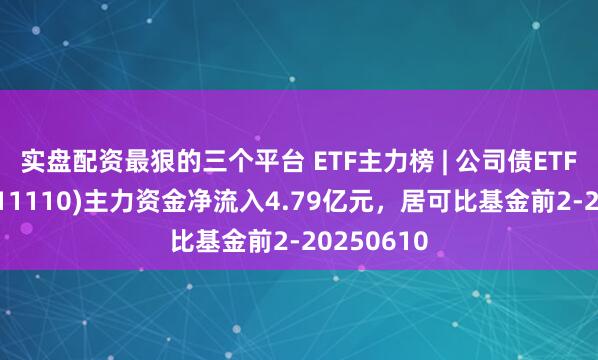 实盘配资最狠的三个平台 ETF主力榜 | 公司债ETF易方达(511110)主力资金净流入4.79亿元，居可比基金前2-20250610